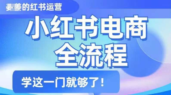 小红书电商全流程，精简易懂，从入门到精通，学这一门就够了-花小钱干大事