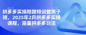 拼多多实操陪跑特训营弟子班,2025年2月拼多多实操课程,海量拼多多玩法-花小钱干大事