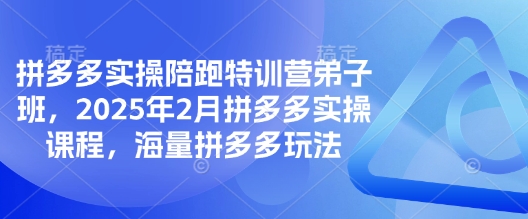 拼多多实操陪跑特训营弟子班，2025年2月拼多多实操课程，海量拼多多玩法-花小钱干大事