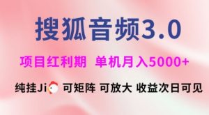 搜狐音频挂ji3.0.可矩阵可放大,独家技术,稳定月入5000+【揭秘】-花小钱干大事