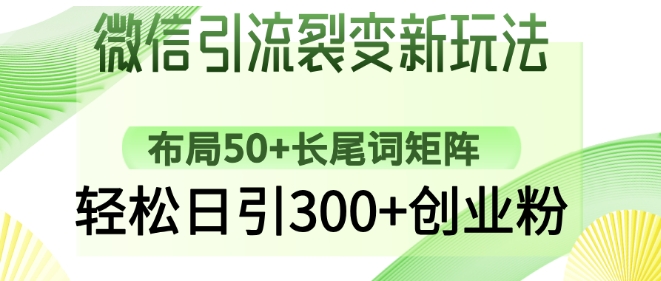 微信引流裂变新玩法：布局50+长尾词矩阵，轻松日引300+创业粉-花小钱干大事