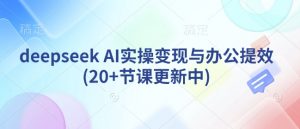 deepseek AI实操变现与办公提效(20+节课更新中)-花小钱干大事