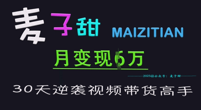 麦子甜30天逆袭视频带货高手，单月变现6W加特训营-花小钱干大事
