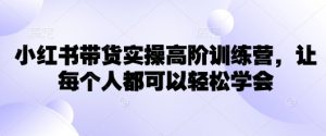 小红书带货实操高阶训练营,让每个人都可以轻松学会-花小钱干大事