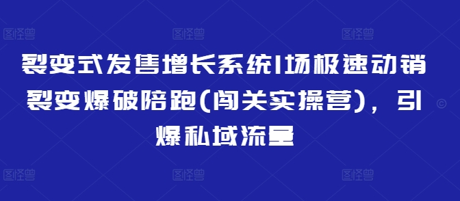 裂变式发售增长系统1场极速动销裂变爆破陪跑(闯关实操营)，引爆私域流量-花小钱干大事