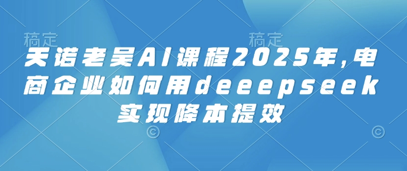 天诺老吴AI课程2025年，电商企业如何用deeepseek实现降本提效-花小钱干大事