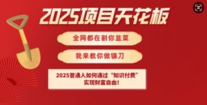 2025项目天花板普通人如何通过知识付费,实现财F自由【揭秘】-花小钱干大事