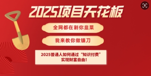 2025项目天花板普通人如何通过知识付费，实现财F自由【揭秘】-花小钱干大事