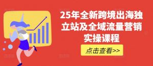 25年全新跨境出海独立站及全域流量营销实操课程，跨境电商独立站TIKTOK全域营销普货特货玩法大全-花小钱干大事
