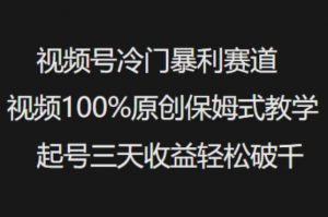 视频号冷门暴利赛道视频100%原创保姆式教学起号三天收益轻松破千-花小钱干大事