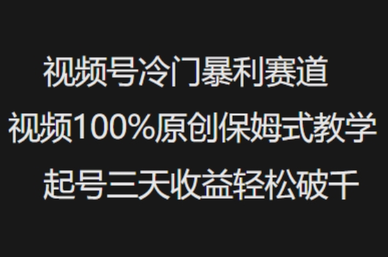 视频号冷门暴利赛道视频100%原创保姆式教学起号三天收益轻松破千-花小钱干大事