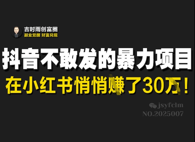 抖音不敢发的暴利项目，在小红书悄悄挣了30W-花小钱干大事