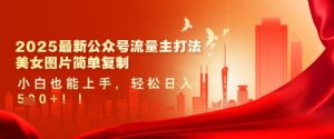 2025最新公众号流量主打法,美女图片简单复制,小白也能上手,轻松日入5张-花小钱干大事