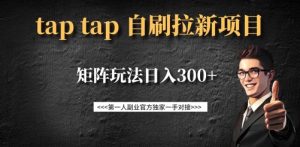 taptap拉新自刷项目,一个新用户14元,矩阵玩法日入300+-花小钱干大事