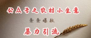 deepseek写农村小项目，条条爆款，暴力引流-花小钱干大事