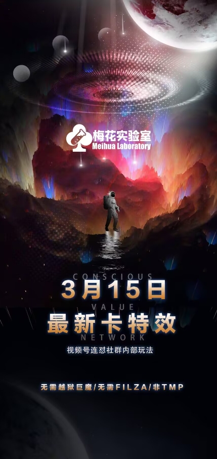 梅花实验室视频号连怼玩法-3月15日最新卡特效技术(无需越狱、巨魔、tmp)-花小钱干大事