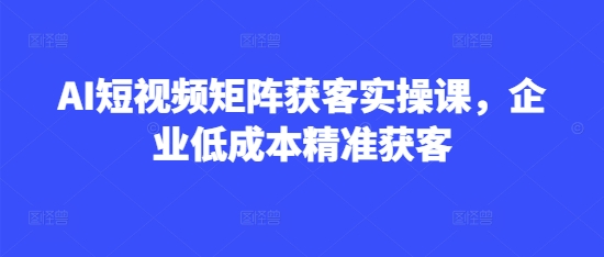 AI短视频矩阵获客实操课，企业低成本精准获客-花小钱干大事