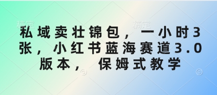 私域卖壮锦包，一小时3张，小红书蓝海赛道3.0版本， 保姆式教学-花小钱干大事
