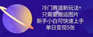 冷门赛道新玩法，只需要搬运图片，新手小白可快速上手，单日变现多张-花小钱干大事