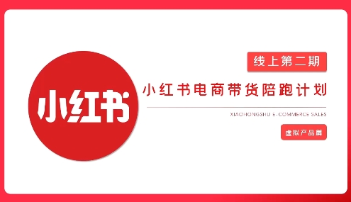2025小红书虚拟电商实战课，从0到1打造无货源店铺，AI+爆款笔记轻松变现-花小钱干大事