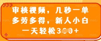 审核视频，几秒一单，多劳多得，新人小白一天轻松3张【揭秘】-花小钱干大事