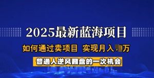 2025蓝海项目,普通人如何通过卖项目,实现月入过W,全过程【揭秘】-花小钱干大事