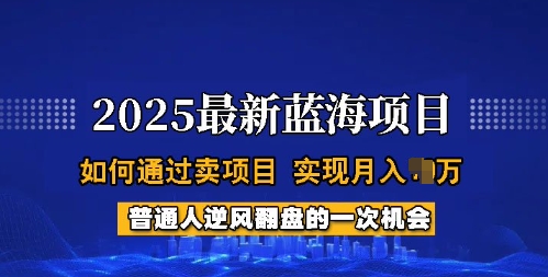 2025蓝海项目，普通人如何通过卖项目，实现月入过W，全过程【揭秘】-花小钱干大事