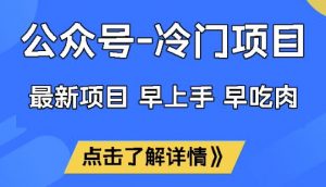 公众号冷门赛道，早上手早吃肉，单月轻松稳定变现1W【揭秘】-花小钱干大事