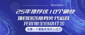 25年推荐这10个副业项目包含褂鸡类、代运营托管类、全自动打金类【揭秘】-花小钱干大事