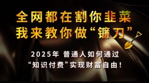 全网都在割你韭菜,我来教你做镰刀,2025普通人如何通过知识付费,实现财F自由【揭秘】-花小钱干大事