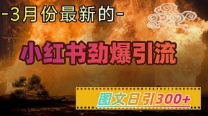 小红书超劲爆引流手段，图文日引300+轻松变现1W-花小钱干大事