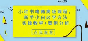 小红书电商高级课程,新手小白必学方法,实操教学+案例分析-花小钱干大事