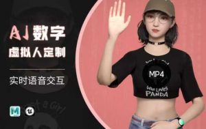 Ai数字人虚拟(智能体)实时语音交互特训营，​自行定制超写实角色AI数字人交互技术-花小钱干大事