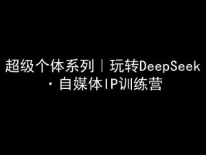超级个体系列，玩转DeepSeek·自媒体IP训练营，deepseek教程-花小钱干大事