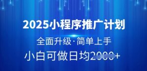 2025小程序推广计划,全面升级,简单上手,日均多张【揭秘】-花小钱干大事