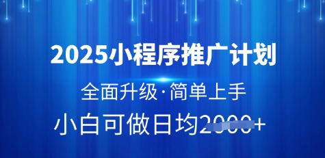 2025小程序推广计划，全面升级，简单上手，日均多张【揭秘】-花小钱干大事