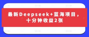 最新Deepseek+蓝海项目，十分钟收益2张-花小钱干大事