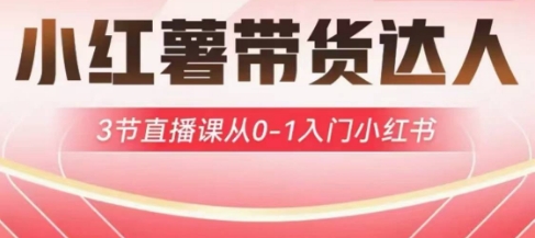 小红薯达人带货启航计划，3节直播课从0-1入门小红书-花小钱干大事