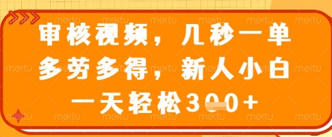 审核视频，几秒一单，多劳多得，新人小白一天轻松3张【揭秘】-花小钱干大事