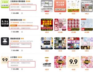 0成本虚拟项目实战手把手教你落地，单店月入5k-花小钱干大事