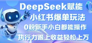 DeepSeek赋能小红书爆单玩法0粉新手小白都能操作，执行力跟上收益轻松上W，懒人勿做-花小钱干大事