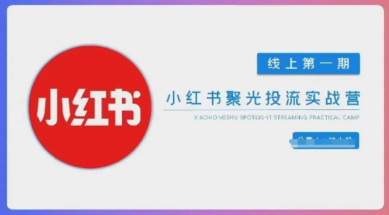 小红书聚光陪跑第一期，教你从0到1玩转小红书聚光投流，搭建小红书付费投流团队，更快的见到效果-花小钱干大事