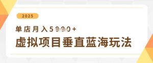 虚拟项目垂直玩法，实现单店月入5k+-花小钱干大事