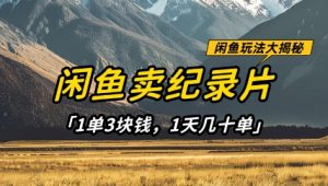 闲鱼卖纪录片1单3块钱，1天几十单，项目稳定有潜力-花小钱干大事