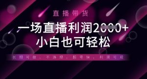 半无人直播带货，一场利润数张，适合所有平台玩法，小白也可轻松-花小钱干大事