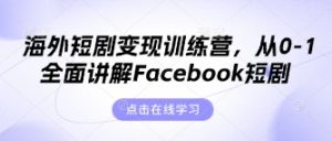 海外短剧变现训练营,从0-1全面讲解Facebook短剧-花小钱干大事