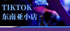 Tiktok东南亚跨境小店运营班，一门专业的TK小店运营培训课-花小钱干大事