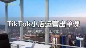 TikTok小店运营出单课，从开店选品、运营出单、发货回款，进行全流程讲解-花小钱干大事