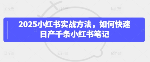 2025小红书实战方法，如何快速日产千条小红书笔记-花小钱干大事