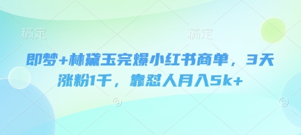 即梦+林黛玉完爆小红书商单，3天涨粉1千，靠怼人月入5k+-花小钱干大事